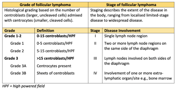 What S New In Relapsed Or Refractory Follicular Lymphoma The Medical