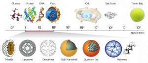 Size-comparison-Bio-nanoparticles
