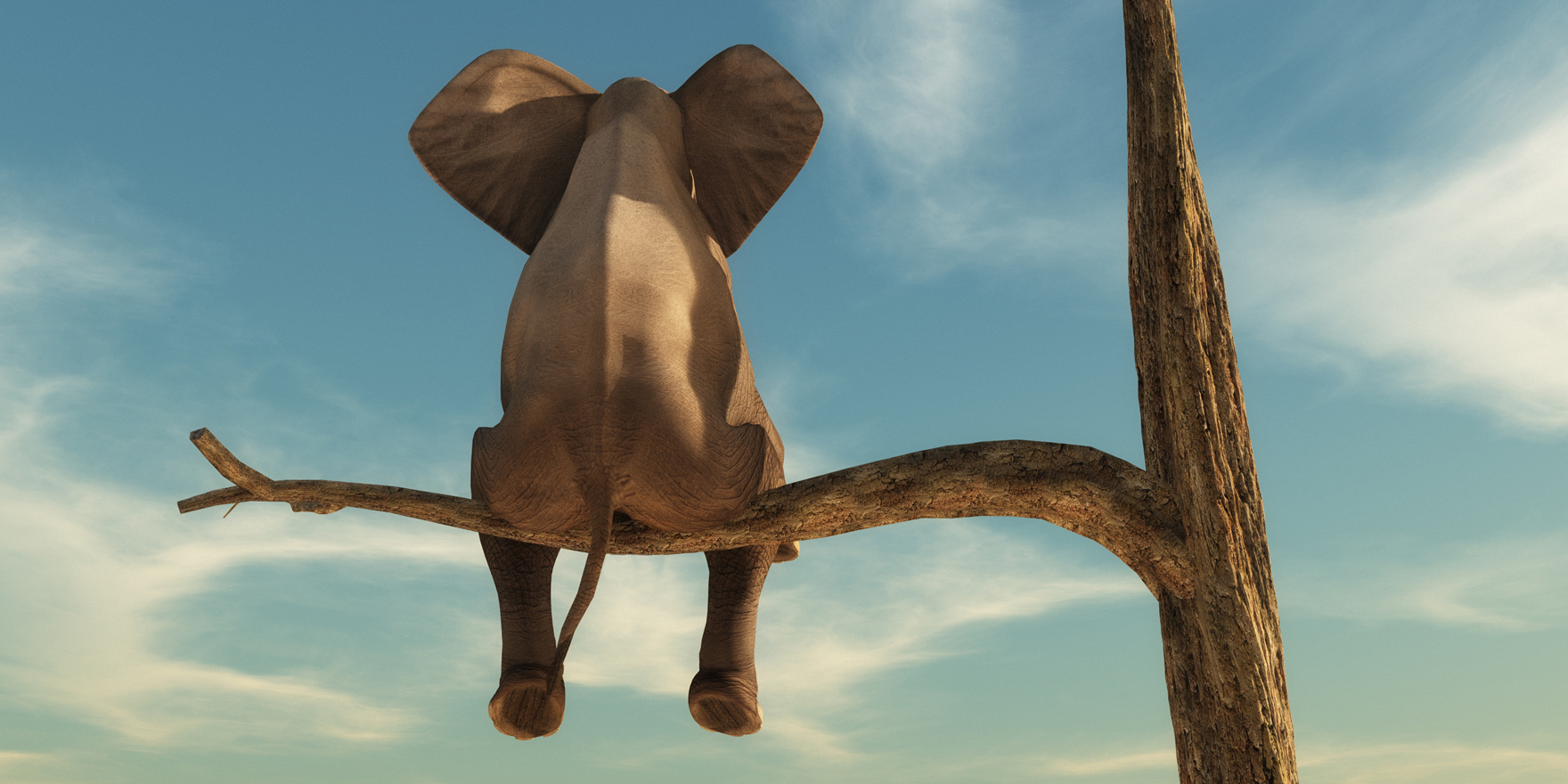 Bizarre study of parental confidence in GPs • The Medical Republic