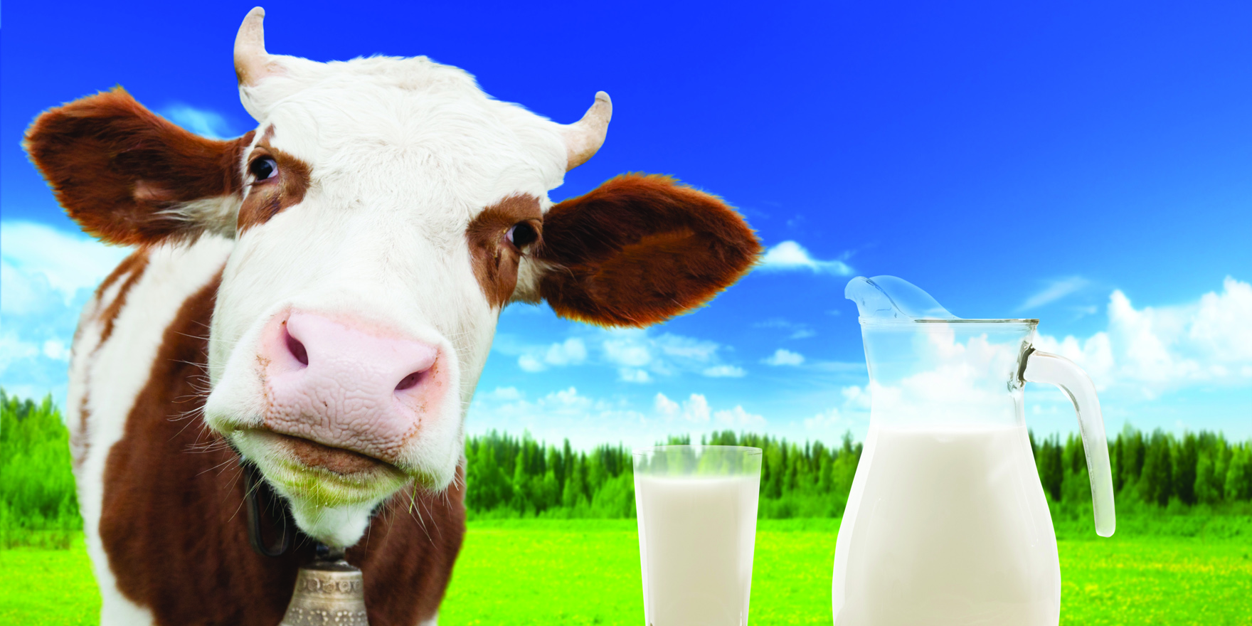 cow-s-milk-allergy-how-to-manage-and-when-to-refer-the-medical-republic