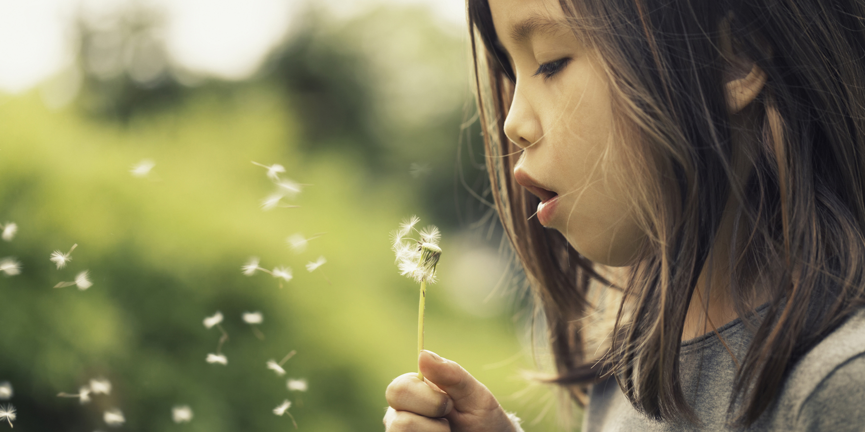 Seven wishes for GP software • The Medical Republic