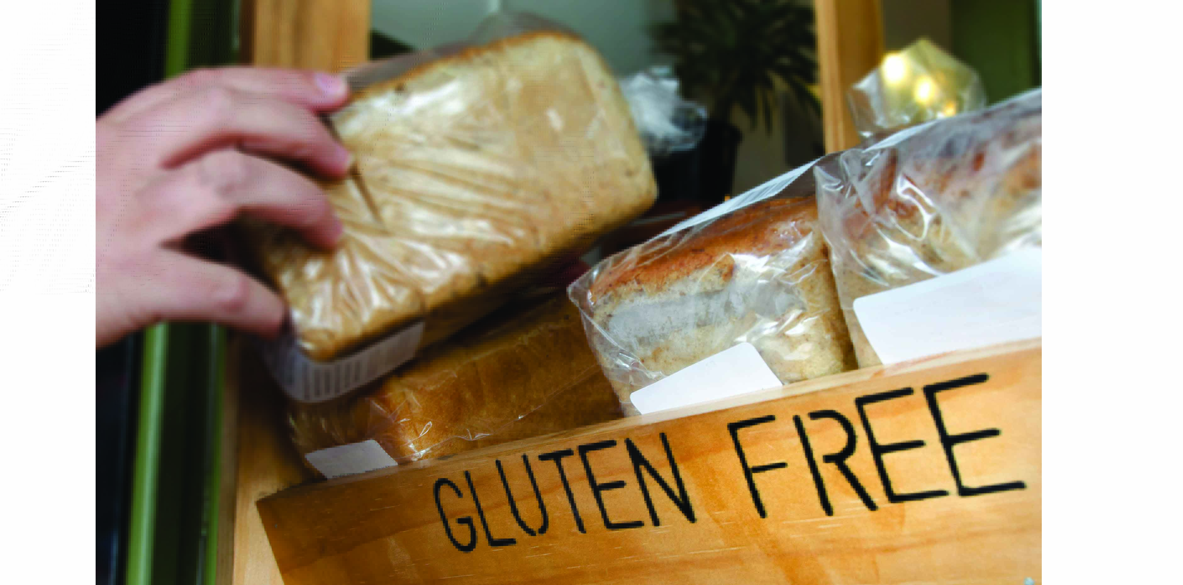 One Step Closer To Rapid Coeliac Disease Diagnosis The Medical Republic