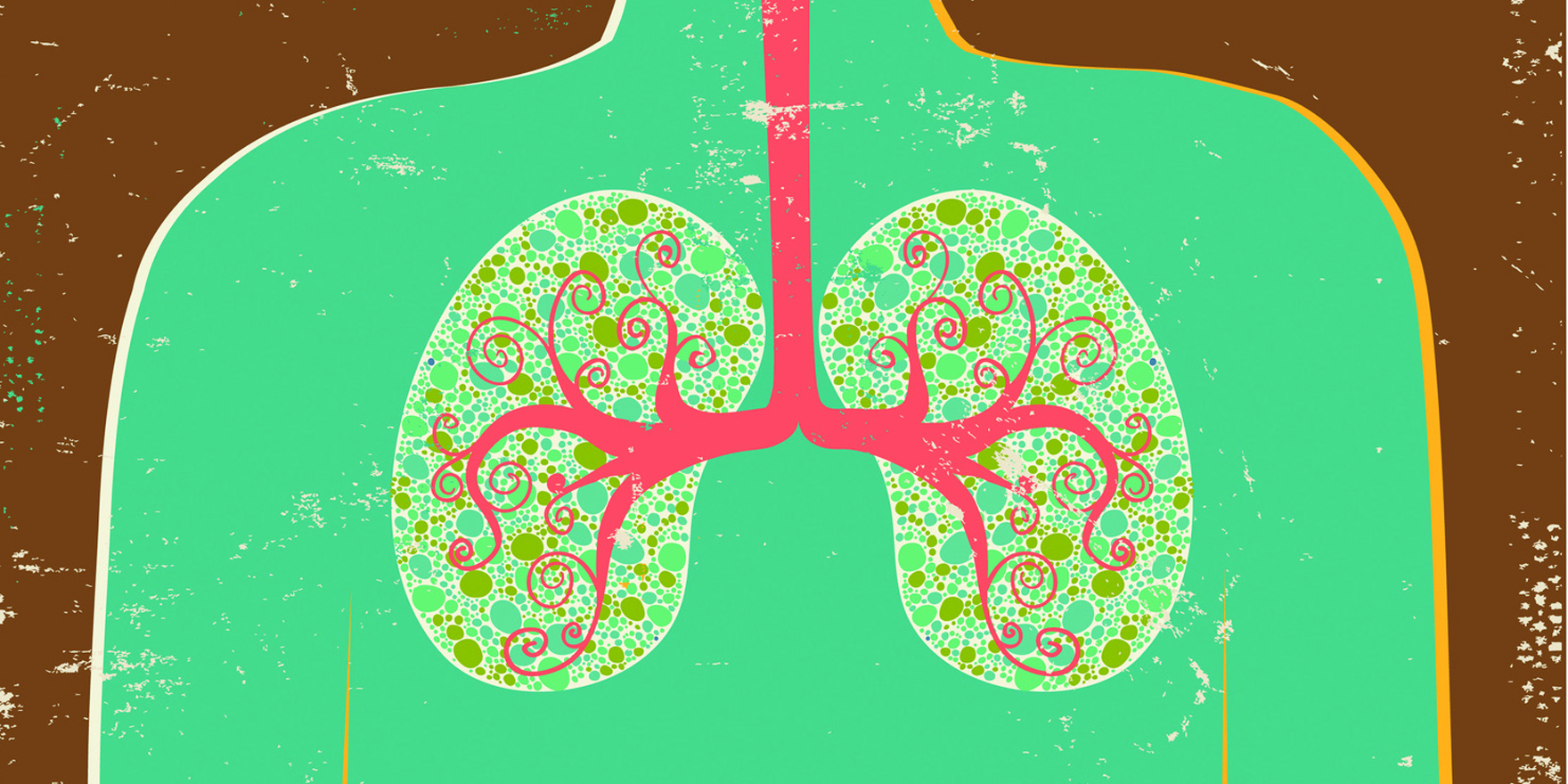 Lung bugs under the microscope, at last • The Medical Republic