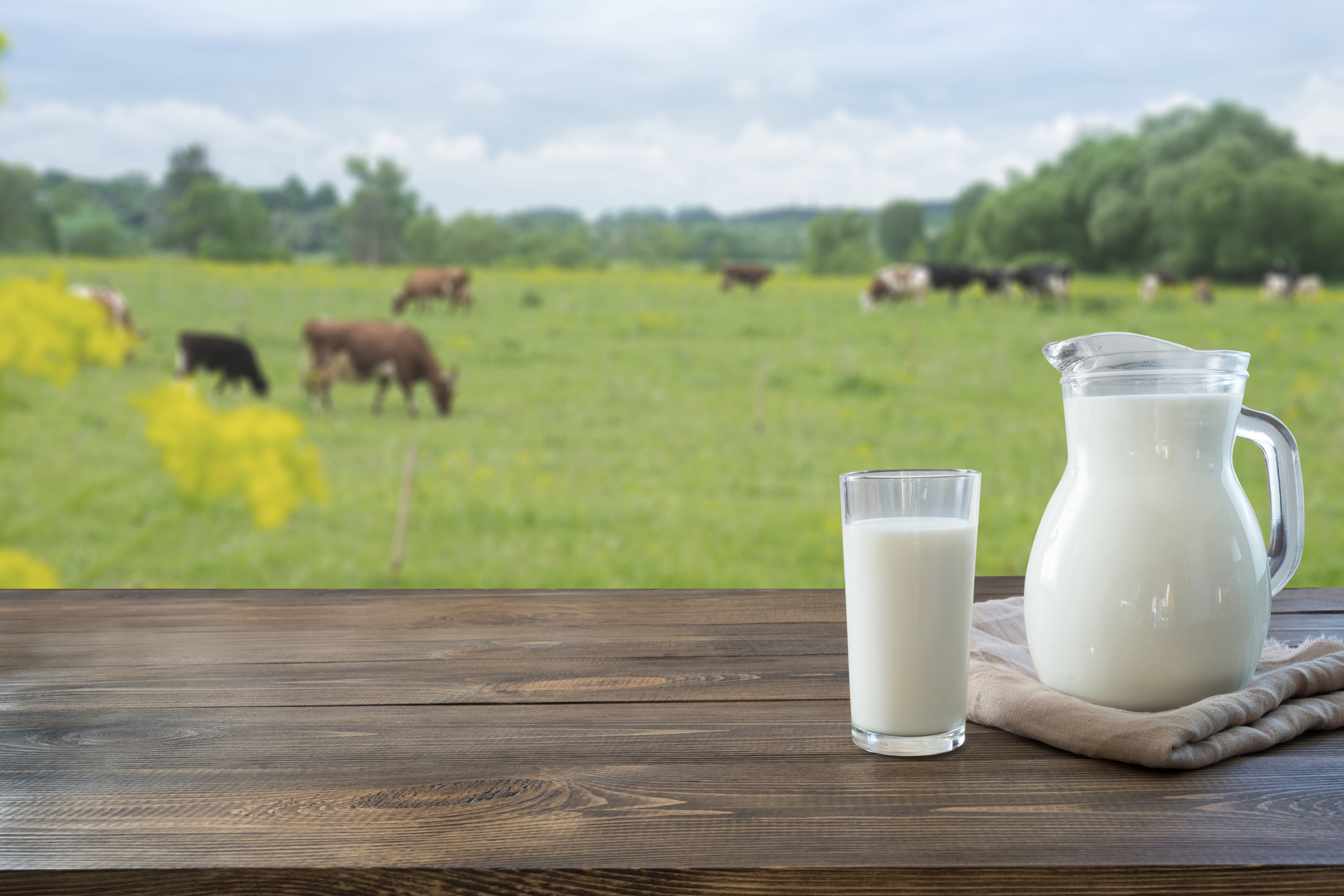 Webcast: a practical update on cow's milk protein allergy • The Medical ...