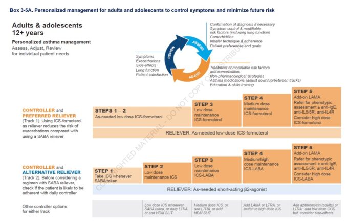 GINA releases 2021 asthma strategy • The Medical Republic