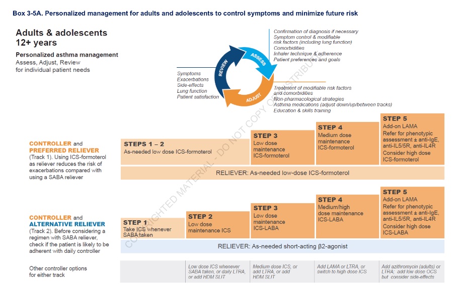 GINA releases 2021 asthma strategy - Allergy & Respiratory Republic