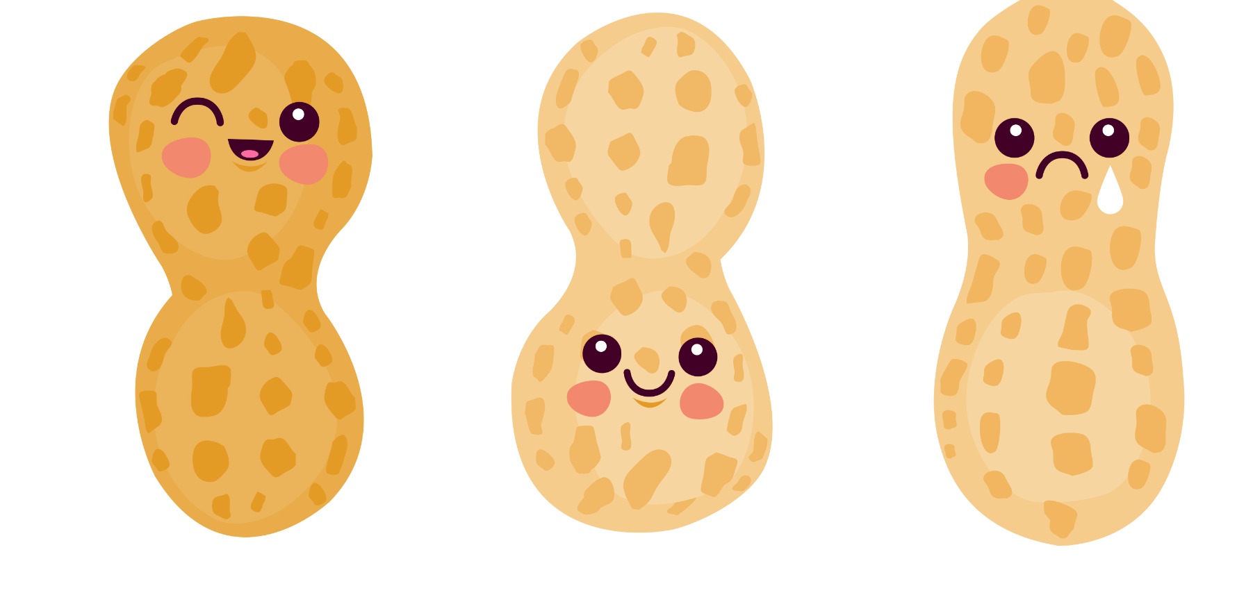 cute peanut drawing